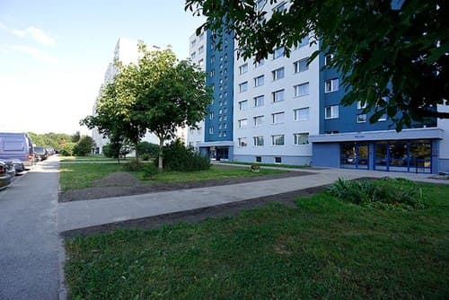 galary-149